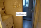 apartment to rent near Pudong Century Park 