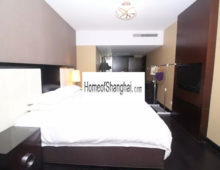 Shanghai Acme Serviced Apartments to rent near West Nanjing road