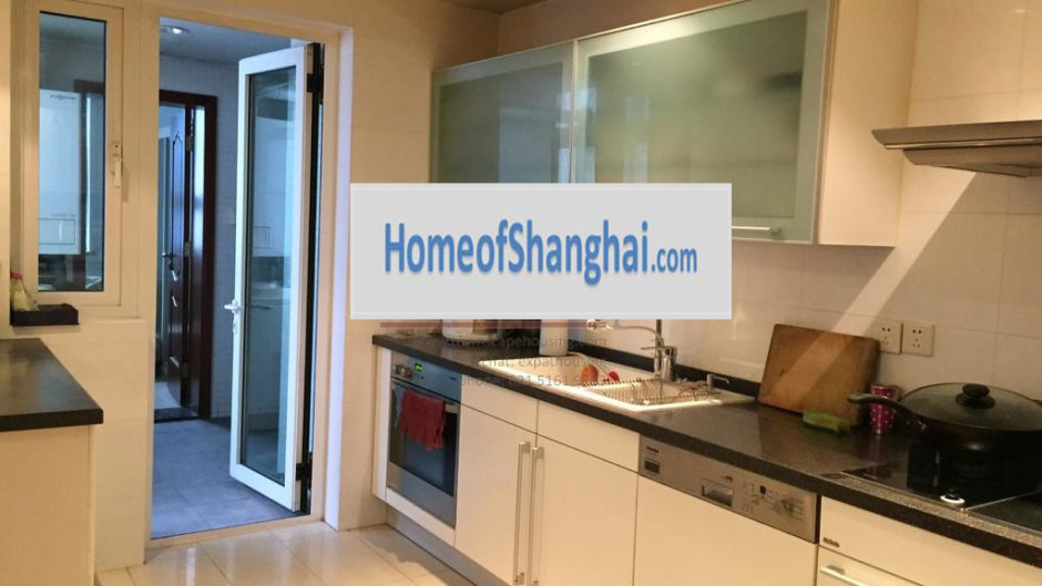 Apartment  rent for expats housing in shanghai pudong Lujiazui Skyline mansion 