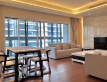 Crystal Plaza Residences Apartment rent near Wellington school Shanghai