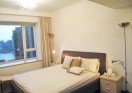 Skyline Mansion pudong lujiazui apartment rent