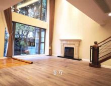 Shanghai Luxury Apartment in Summit to Rent in French Concession